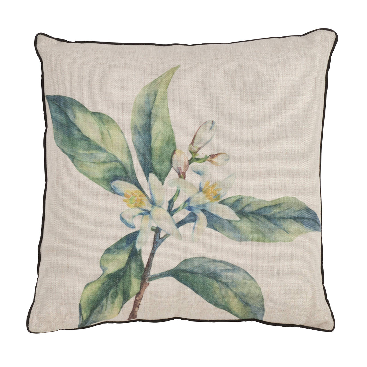 Fennco Styles Floriculture Collection Heritage Citrus Flower Botanical Print 18 x 18 Inch Throw Pillow with Case & Insert – Natural Accent Pillow for Couch, Bedroom and Living Room Décor