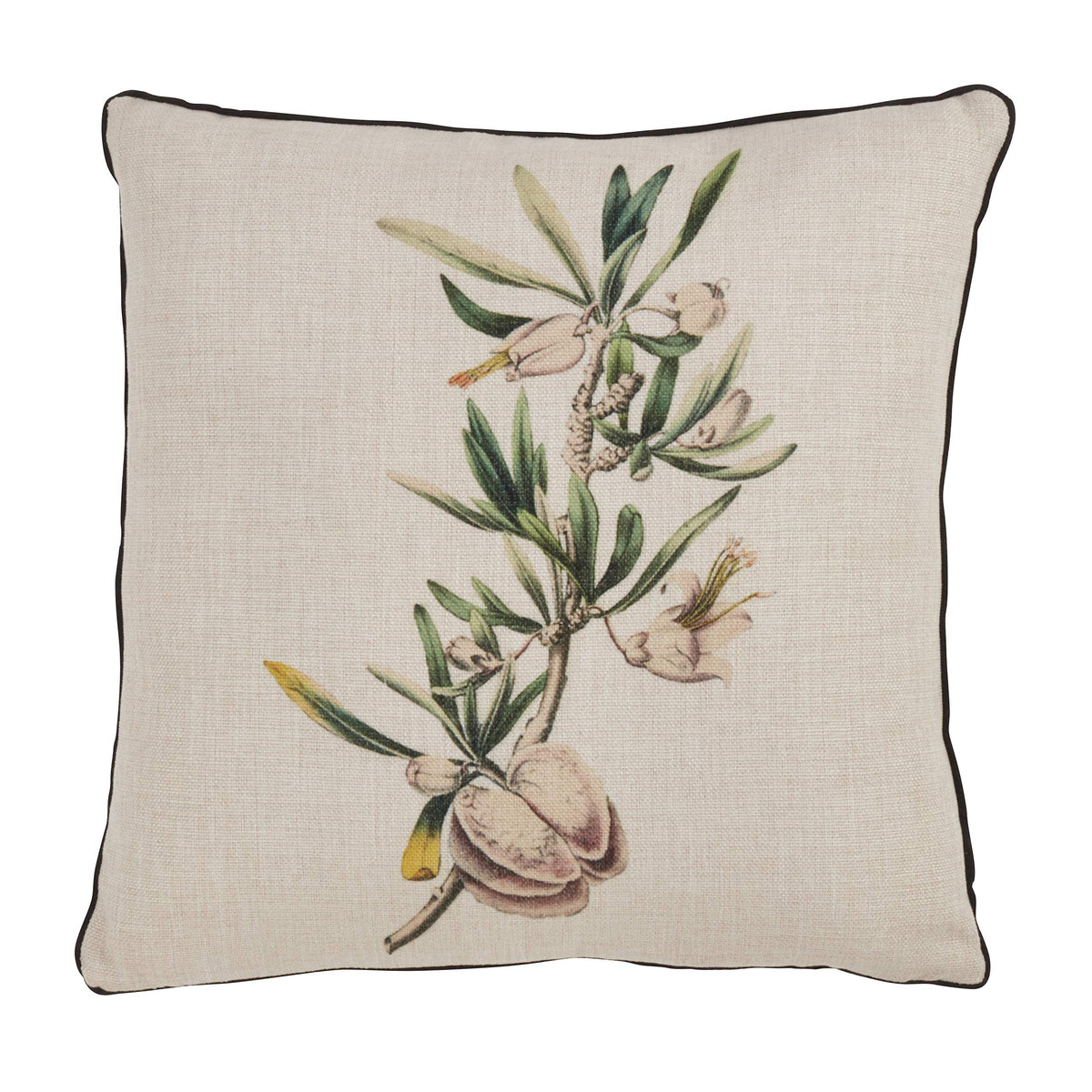 Fennco Styles Floriculture Collection Heritage Citrus Flower Botanical Print 18 x 18 Inch Throw Pillow with Case & Insert – Natural Accent Pillow for Couch, Bedroom and Living Room Décor